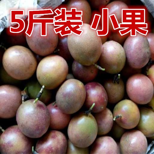 包邮5斤装 广西百香果 西番莲 鸡蛋果 新鲜水果 精品小果60个以上
