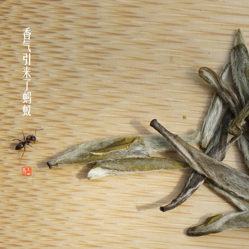 福建茉莉花茶叶浓香 2016新茶特级茶王银针精针王花茶250g散装