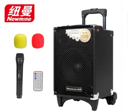 纽曼 SM-898A拉杆音箱广场舞音响无线话筒8寸户外扩音器外接电源