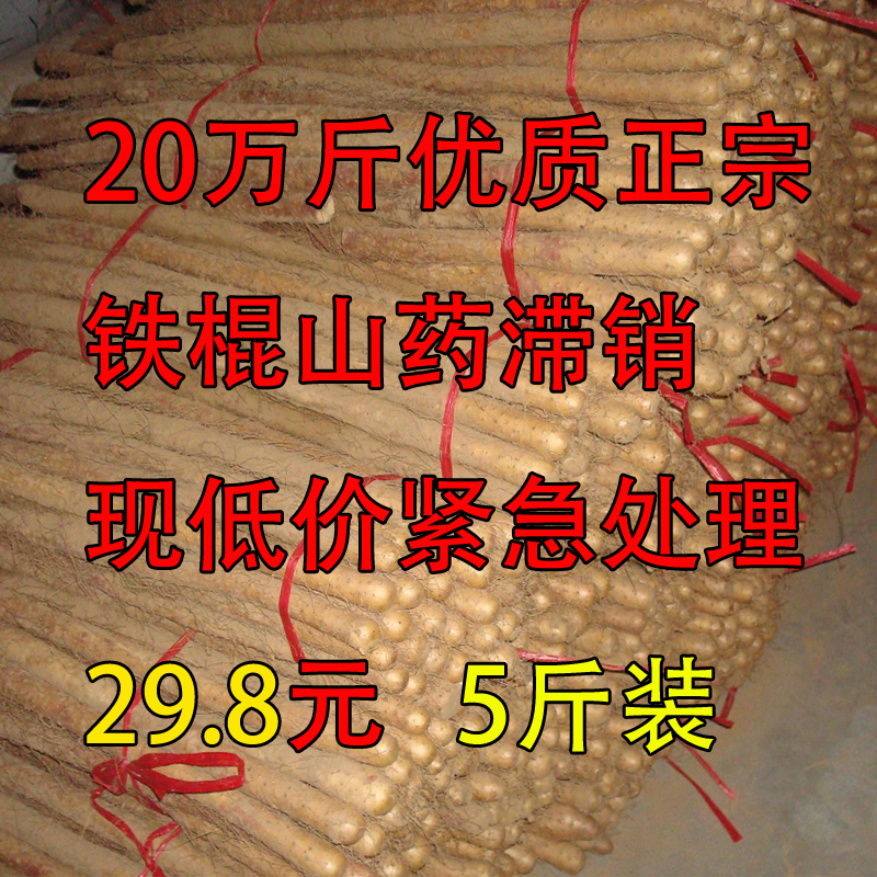 滞销甩卖 正宗铁棍山药新鲜农家菏泽特产陈集河南焦作温县家庭装