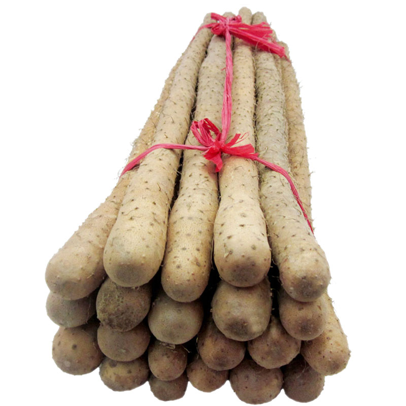 怀康温县铁棍山药 河南焦作怀淮山药正宗新鲜 铁杆 限区满5斤包邮