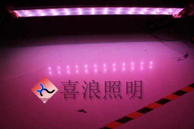 1.2米LED 龙鱼灯 led锦鲤灯鹦鹉LED 红龙LED淡水鱼灯LED水族箱灯