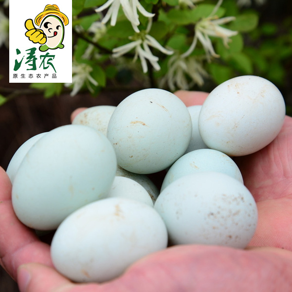 浔农正宗农家自养乌鸡蛋树林散养绿壳土鸡蛋乌骨鸡蛋绿皮鸡蛋30枚