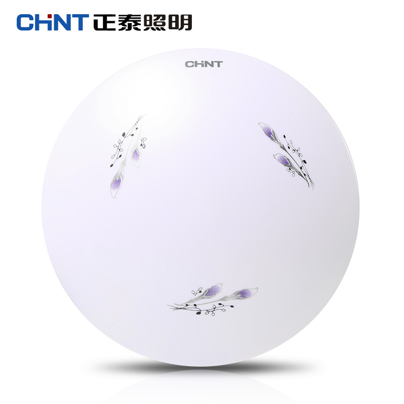 【小号】正泰照明灯饰 节能LED吸顶灯 阳台走廊天花板圆形吸顶灯