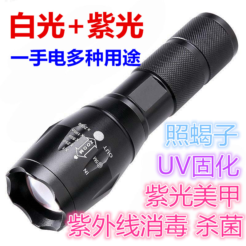 抓捕蝎子豆青虫强光手电筒紫光鉴定防伪 UV固化美甲灯紫外线消毒
