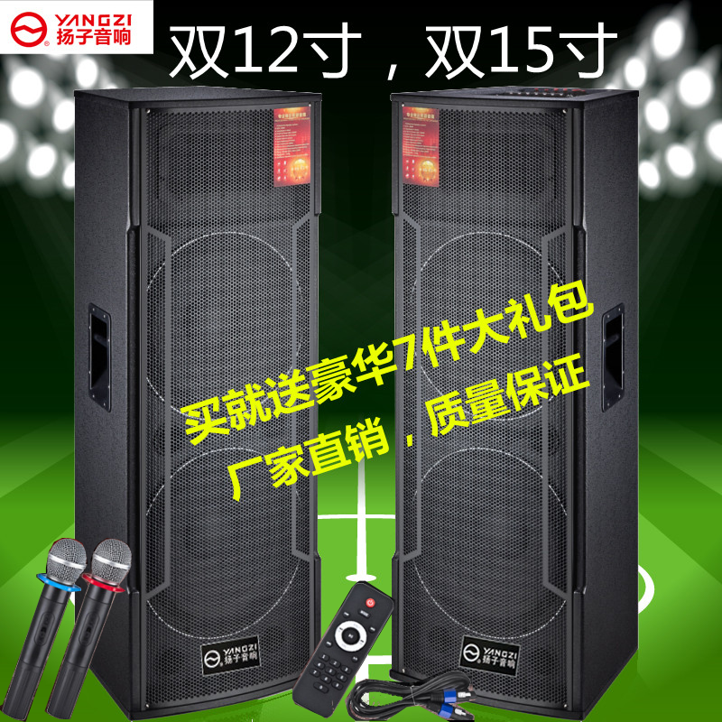 扬子双15蓝牙大功率专业有源舞台音响广场演出户外店铺婚庆音箱