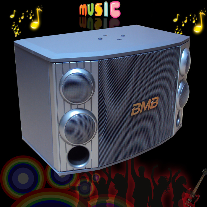 BMB CSX-1000型12寸专业舞台/会议/KTV/演出卡包音响