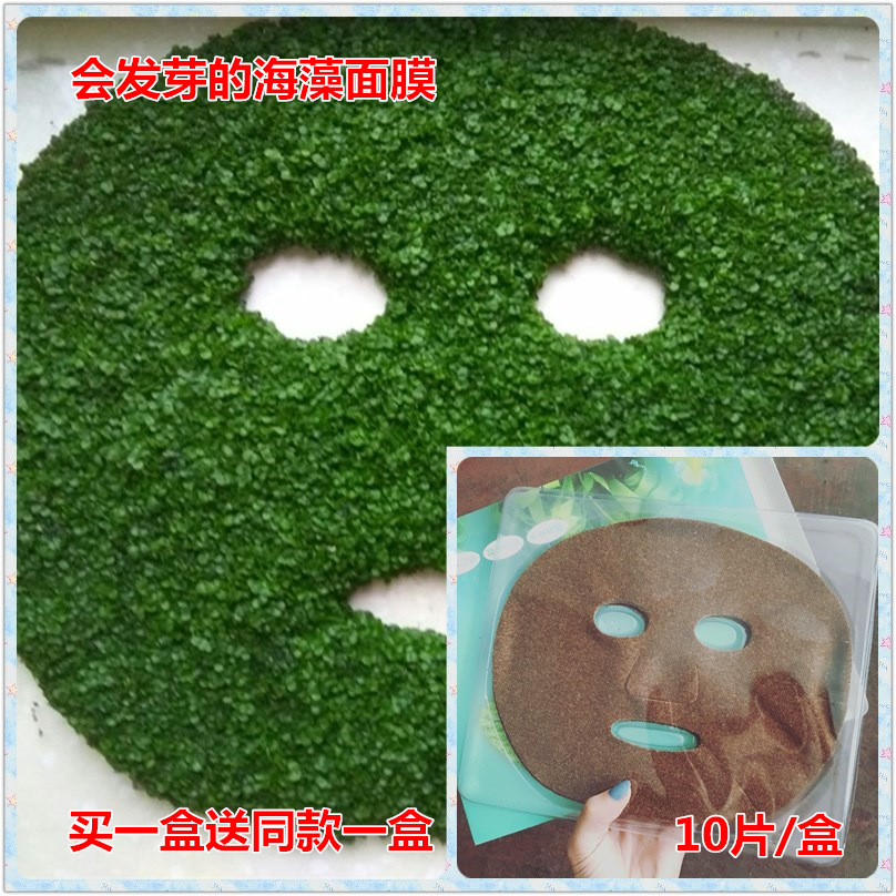海藻面膜 小颗粒海藻成型面膜贴10片盒装会发芽的海藻面膜 免调型
