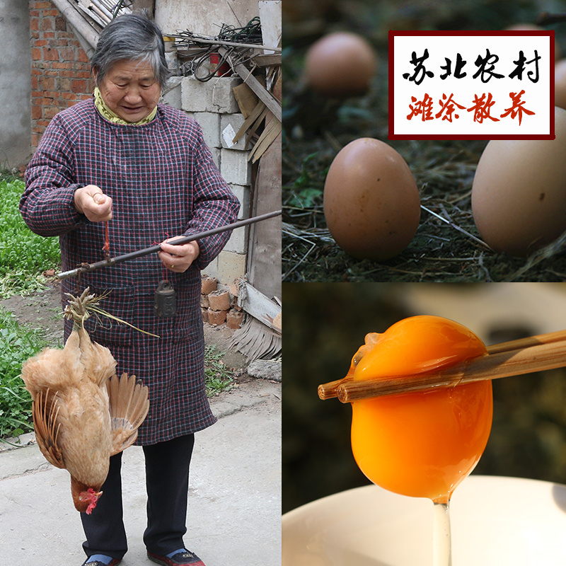 正宗苏北农村自家散养新鲜土鸡蛋初生农家草鸡蛋笨鸡蛋柴鸡蛋30枚