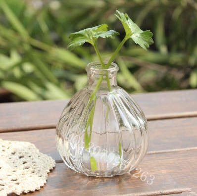 南瓜瓶/许愿瓶/软木塞瓶/玻璃瓶/漂流瓶/幸运星瓶zakka杂货小瓶子