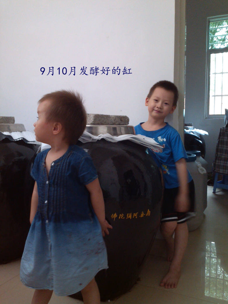 自制复合综合水果蔬酵素原液 纯天然孝素 非日本台湾酵素粉非代购