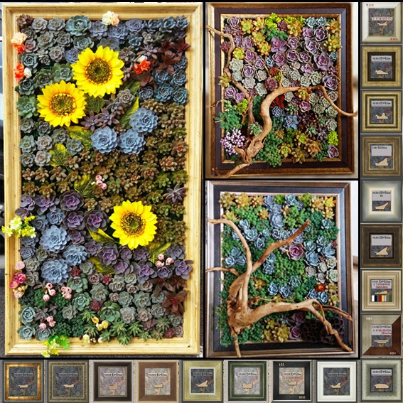 多肉植物装饰画专用【多肉画框相框】实木花槽 多尺寸框样 中大号